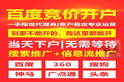 案例研究：百度推广托管助力电商品牌快速崛起